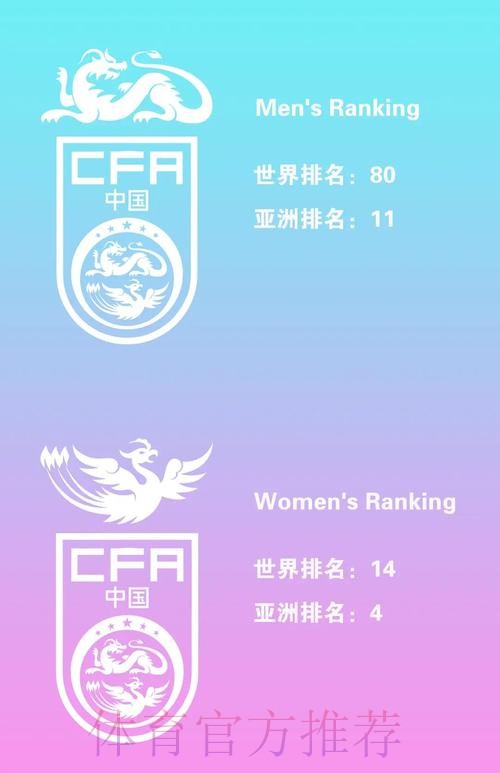世界杯买球排行全站分析与推荐
